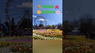 đź’ Floriade Canberra đźŚąđźŚ¸đźŚ»đź’đźŚ¸ [upl. by Ocker]