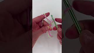 Easy Crochet Cord Tutorial for Beginners  StepbyStep Guide crochet crochetcordon [upl. by Conway213]