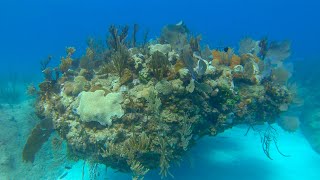 Diving Jibacoa Cuba Feb 2019 1440p 60fps [upl. by Jegar]