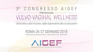 3° Congresso Nazionale AIGEF  Intervista al Prof Pietro Saccucci [upl. by Tiloine]