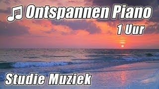 PIANO Instrumentale 1 uur Klassieke Muziek voor Studeren Afspeellijst Mooie Ontspannende Sudie lied [upl. by Renrut179]