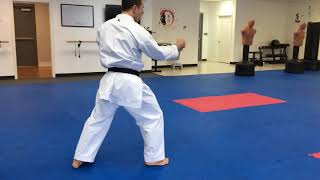 Wado Ryu Basic Techniques 8th Kyu and 7th Kyu Kazoku Karate Dojo Greenville SC [upl. by Atinar136]