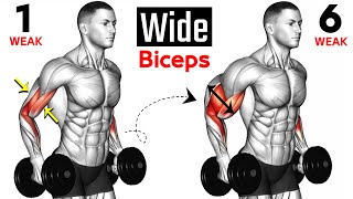 7 BEST Exercises for WIDER BICEPS [upl. by Nilyram]