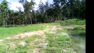 Farm house Plots for sale in Sakleshpur Chikmagalur Karnataka [upl. by Peck]