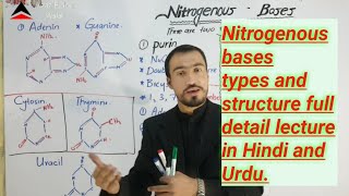 Nitrogenous bases structure and types full detail lecture in Hindi and Urdu by Aizaz Ahmed [upl. by Anawd]