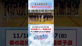 春高バレー2024意気込み動画 [upl. by Werbel]