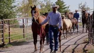 Montana Horse Ranch  Americas Heartland [upl. by Tedmann116]