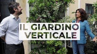 Come realizzare un GIARDINO VERTICALE fai da te 🌱  GIARDINAGGIO [upl. by Ronacin]