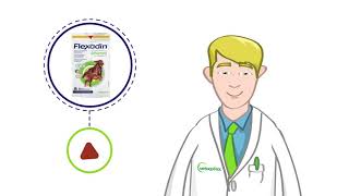 Flexadin Advanced  VETOQUINOL [upl. by Ertemed]