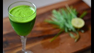 Wheat Grass Juice  Healthy Detoxifying Recipe  Gurus Cooking [upl. by Remlap131]