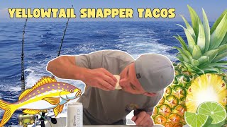 Yellowtail Snapper Tacos [upl. by Timothea776]