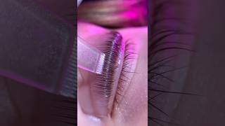 Big beauty trends 👉🏻 Lash Lift and Tint💕 lashlifting lashliftandtint lashtint iconsign [upl. by Aridan]