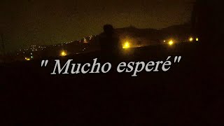 Musidelic  Mucho esperé sub español [upl. by Herrah128]