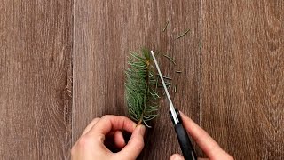 Weihnachtsbaum im Glas als DIY Weihnachts Deko [upl. by Awad]