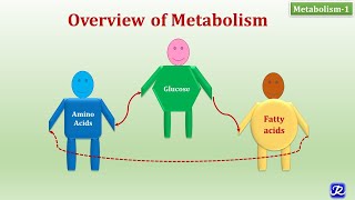 1 Overview of Metabolism  Metabolism1  Biochemistry  NJOY Biochemistry [upl. by Hentrich]