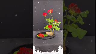 Creating a Beautiful Geranium Flower Arrangement [upl. by Esinad719]