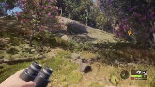 Hunter Call of the wild livestream searching for Bengal tiger [upl. by Mace333]