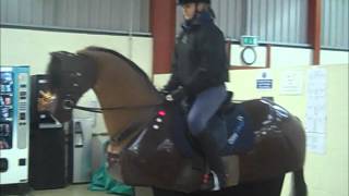 Otley College Equine Studies students promotional video [upl. by Haymo]