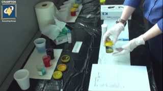 Urinalysis Demonstration [upl. by Ahsenav381]