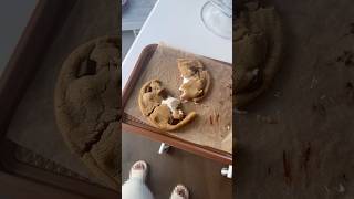 How To Only Make ONE Cookie 🍪…easyrecipe baking cookies [upl. by Bromley]