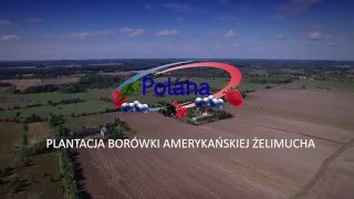 Plantacja borówki amerykańskiej Polana sp z oo Żelimucha [upl. by Olsson110]