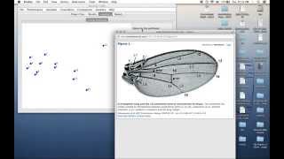 MorphoJ Tutorial 2  4ED3 Evolutionary Developmental Biology [upl. by Adnalahs388]