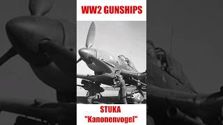 WW2 Gunships  Stuka Kanonenvogel military militaryaviation militaryaviationhistory [upl. by Theola]