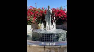 Beautiful Pink Flowers Bloom at Napa Valley Lodge in Yountville [upl. by Ila]