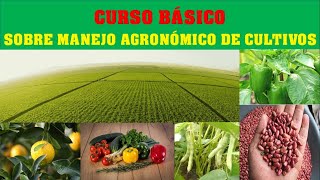 CURSO BÁSICO DE AGRONOMÍA GRATIS CON DIPLOMA ciencia [upl. by Frerichs]