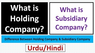 What is Holding Company and Subsidiary Company Holding Company vs Subsidiary CompanyUrduHindi [upl. by Ojok]