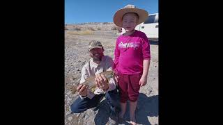 Brown Trout at Lahontan Reservoir By VerdugoAdventures [upl. by Yalc]