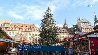 Les raisons du succès du marché de Noël de Strasbourg  reportage cdanslair 24122022 [upl. by Lobiv516]