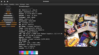 Install Retrograming for terminal in Linux MODICIA OS calamares configure linux technology [upl. by Judsen]