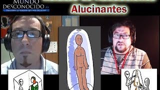 Dos Alucinantes Relatos de Abducciones [upl. by Nnayram249]