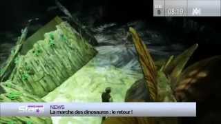 Reportage M6 Absolument Star du 091212  LA MARCHE DES DINOSAURES [upl. by Letsyrc]