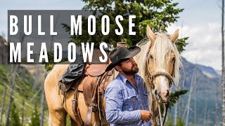 Bull Moose Meadows Absaroka Beartooth Wilderness [upl. by Asek]