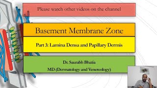 Basement Membrane Zone BMZ Part 3  Lamina Densa and Papillary Dermis [upl. by On684]