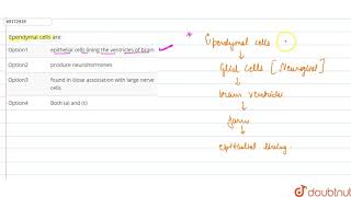 Ependymal cells are [upl. by Saul]