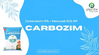 CARBOZIM Carbendazim 12  Mancozeb 63 WP [upl. by Marola]