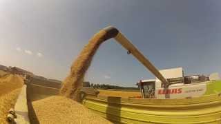 Claas Lexion 540 drischt Gerste 2013 HD [upl. by Adiuqram]