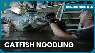 Catfish Noodling  Chasing Monsters  Nature amp Adventure Documentary [upl. by Caton]