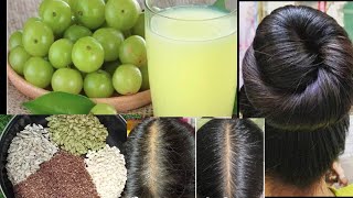 अब होगे तेजी से बाल लंबे की हैरान हो How to seed for Hair growthHow to Amla powder make at Home [upl. by Ahsenrat]