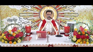 Holy Mass Malayalam പരിശുദ്ധ കുുര്‍ബ്ബാന I Syro Malabar  October 7 I wednesdayI Holy Qurbana [upl. by Nnylarac555]