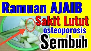 Mujarab Obat Tradisional Sakit Lutut dan Untuk mencegah Osteoporosis dengan Rebusan Ajaib ini [upl. by Eissoj]