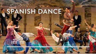 Raymonda Spanish Dance by Young Gyu Choi  Performance clip  Dutch National Ballet [upl. by Bouldon]