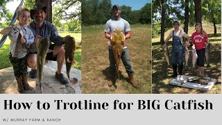 How to Trotline for BIG Catfish w Murray Farm amp Ranch [upl. by Spillar878]