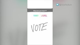 What do you hear Yanny or Laurel [upl. by Idette]