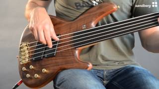 Sandberg Panther Special 5 Fretless [upl. by Ardnahs]