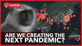 Zoonotic Diseases  How the next Pandemic could happen [upl. by Chem]