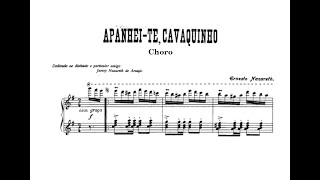 Ernesto Nazareth Apanheite Cavaquinho  Alessandra Garavello piano [upl. by Tama]